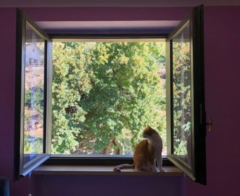 Casa Con Vista A Gravere 외부 사진